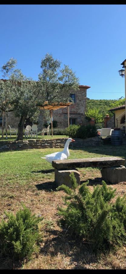 Agriturismo La Posta Reale Castiglion Fibocchi Zewnętrze zdjęcie