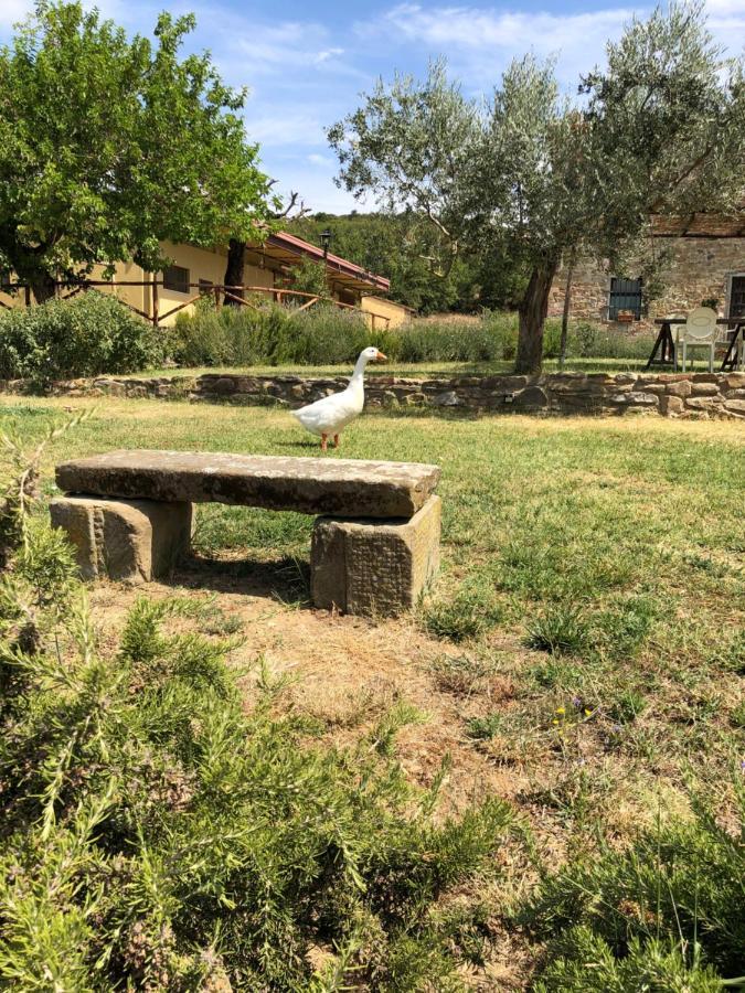 Agriturismo La Posta Reale Castiglion Fibocchi Zewnętrze zdjęcie