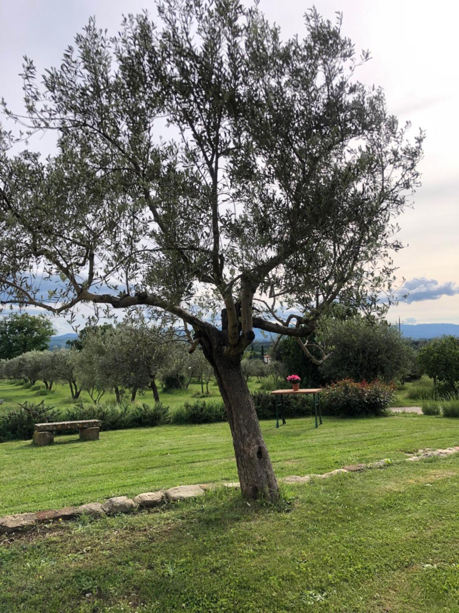 Agriturismo La Posta Reale Castiglion Fibocchi Zewnętrze zdjęcie