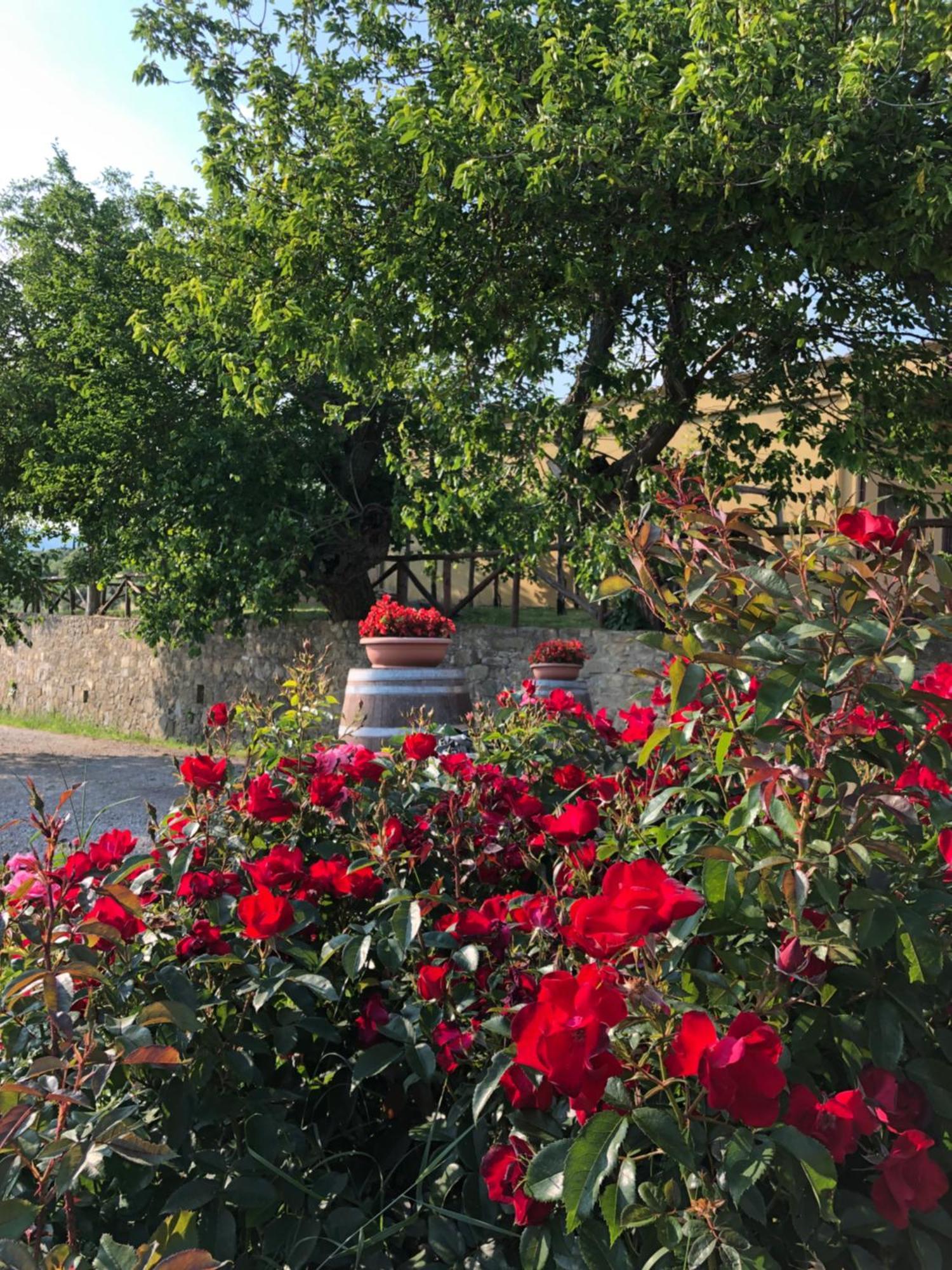 Agriturismo La Posta Reale Castiglion Fibocchi Zewnętrze zdjęcie