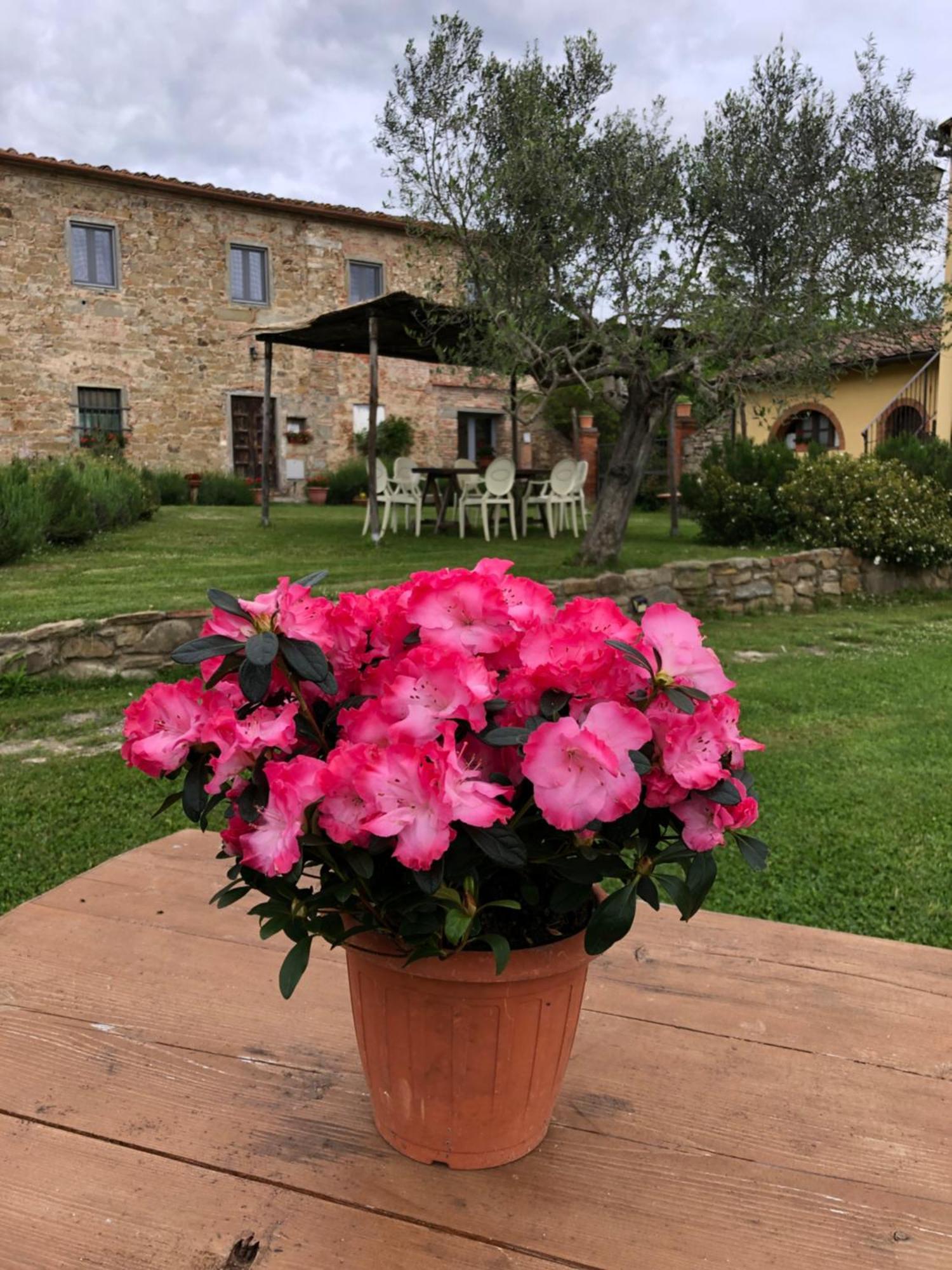 Agriturismo La Posta Reale Castiglion Fibocchi Zewnętrze zdjęcie