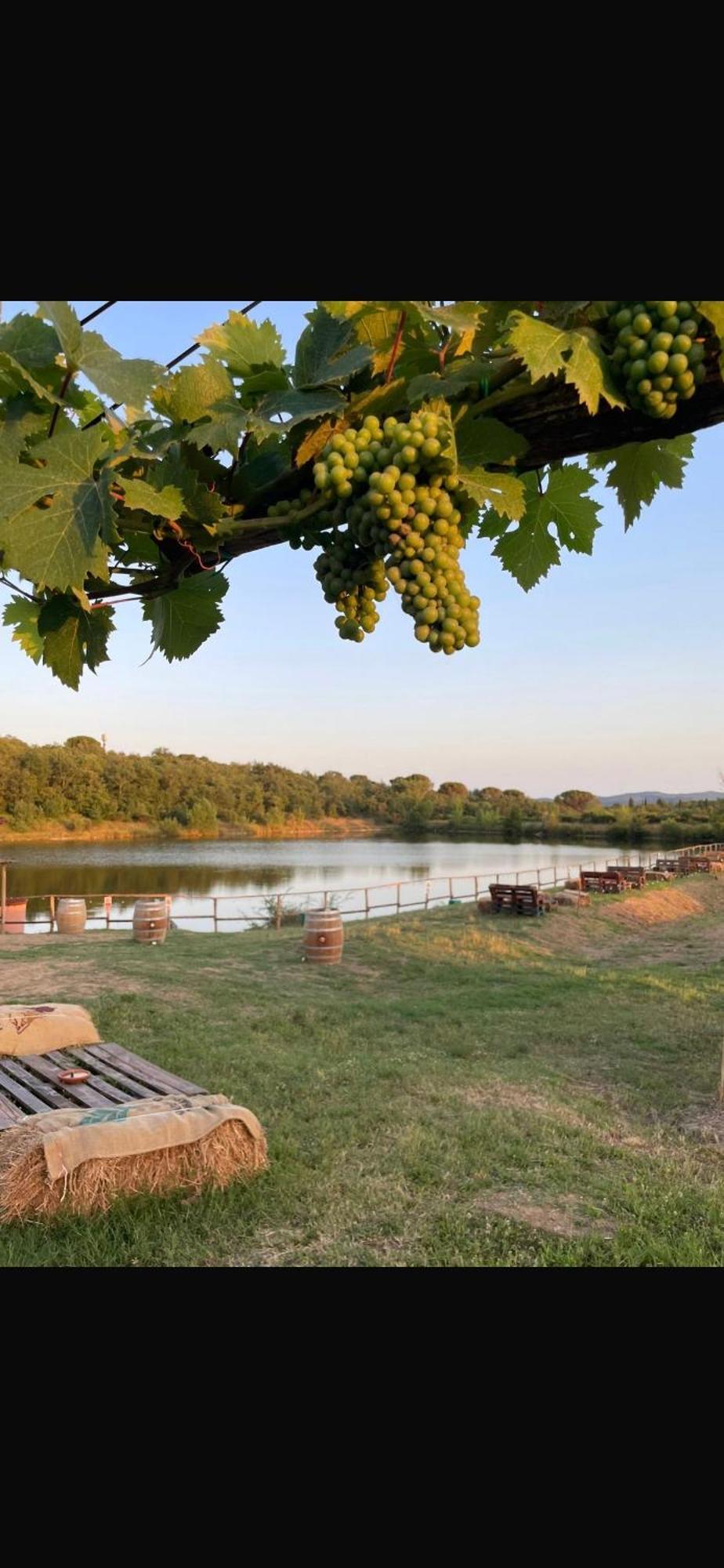 Agriturismo La Posta Reale Castiglion Fibocchi Zewnętrze zdjęcie