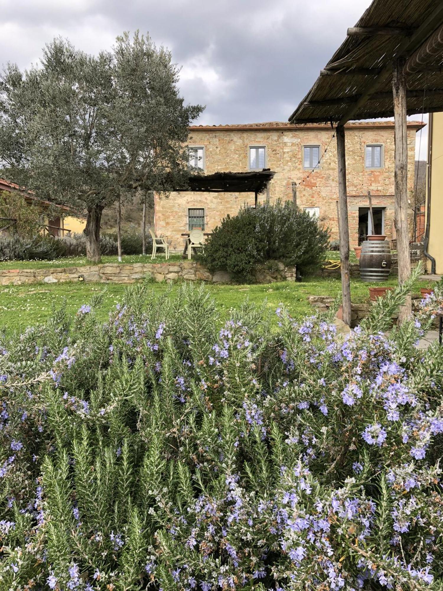 Agriturismo La Posta Reale Castiglion Fibocchi Zewnętrze zdjęcie