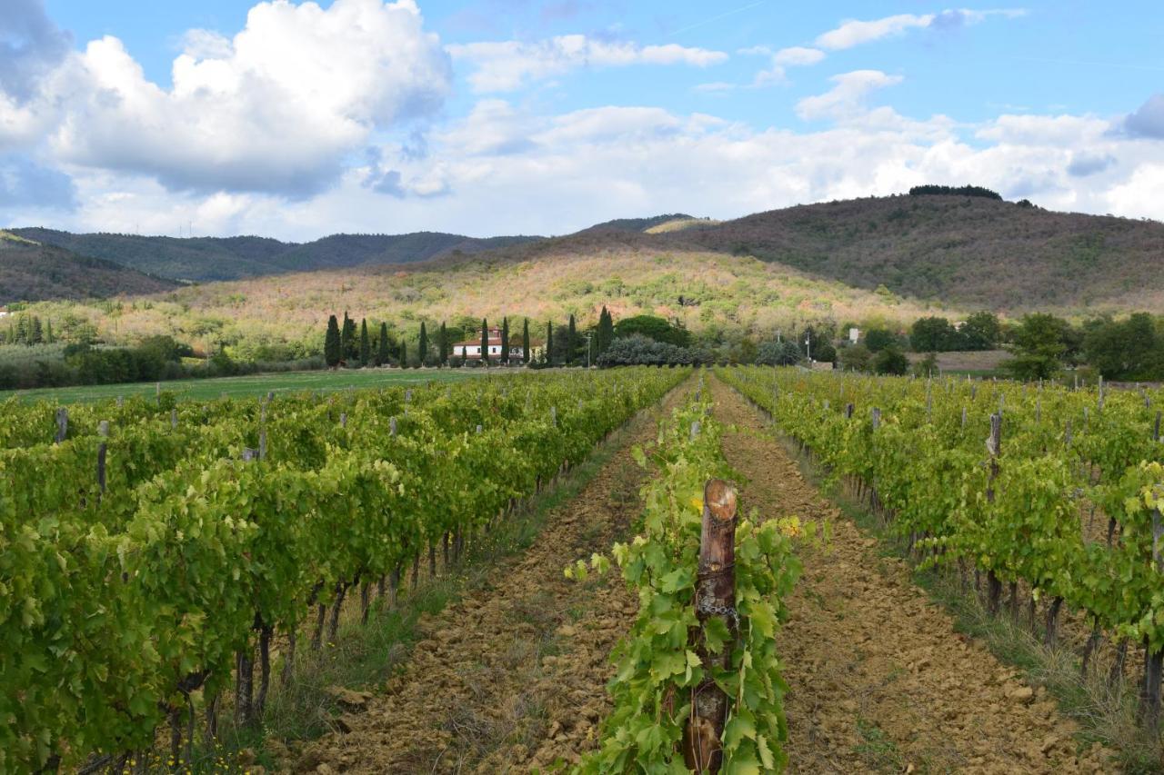 Agriturismo La Posta Reale Castiglion Fibocchi Zewnętrze zdjęcie